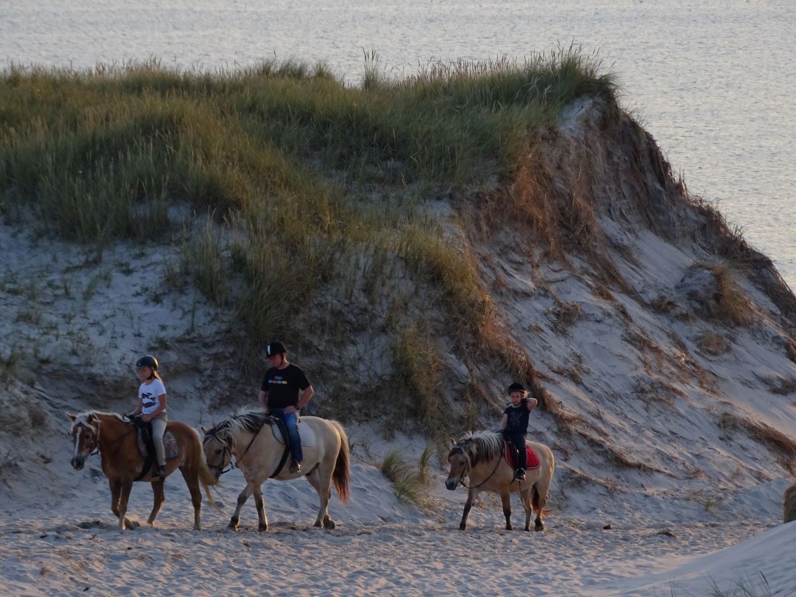 Reiten